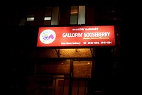 Gallopin Gooseberry